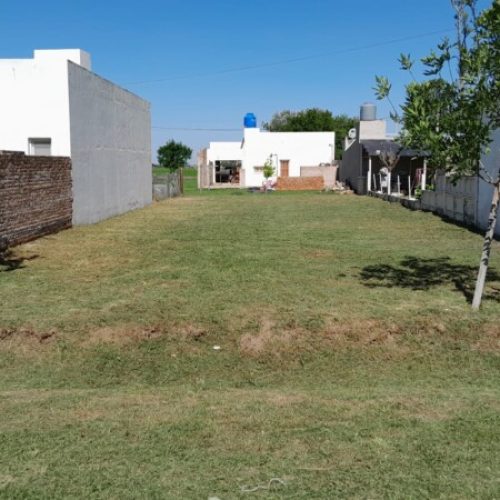 WhatsApp-Image-2026-02-04-at-09.41.01